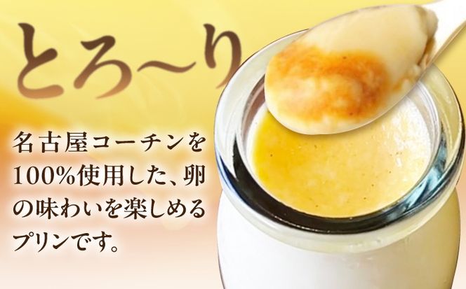 ＼大人気／ とろ〜り 名古屋コーチンプリン 6個入り スイーツ プリン 洋菓子 愛西市 / スイーツカフェハル[AEDP004]