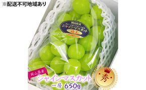 ぶどう 2026年 先行予約 シャインマスカット 晴王【9月上旬～順次発送分】 1房（約650g）秀品【配送不可：離島】 果物類 フルーツ 果物 葡萄 