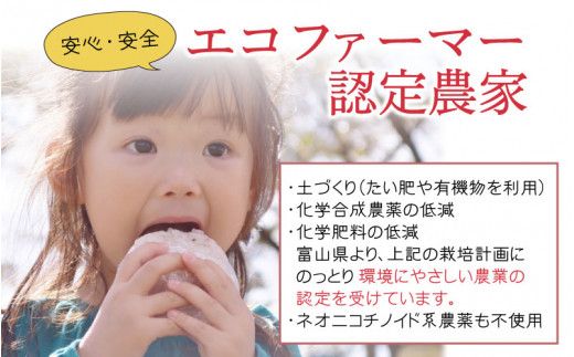 【訳あり】ほたるいか米（精米５kg）×12回 計60kg【12ヶ月定期便】
