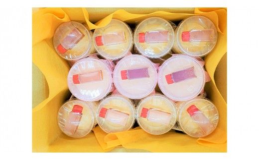 ＜ ギフト ＞ ちっくん プリン 8個 ＆ 下妻 プリン 3個 ミックス セット [BW026ci]