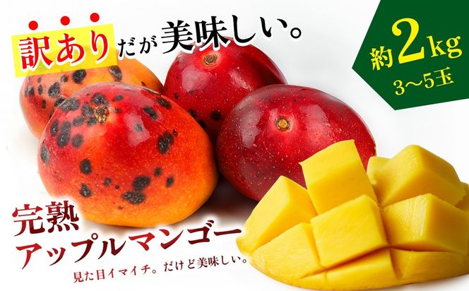 【2026年発送】生産者応援！！訳ありだが美味しい完熟アップルマンゴー約2kg 農園直送！ 訳アリ 先行予約 沖縄 甘味 糖度 濃厚 美味しい 自分用 おいしい ふるさと納税 とろける甘さ 香り アーウィン 果汁 送料無料 箱入り トロピカル フードロス わけあり ２キロ