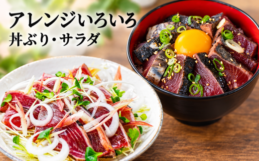 【 2回 定期便 】かつおのたたき 定期便 高知 本場 カツオ人気 かつおのタタキ 冷凍 カツオのタタキ 鰹 かつおのたたき かつおたたき 海鮮 魚介 魚貝 かつお定期便 海鮮定期便 父の日 冷凍 お試し 個包装 小分け 訳あり わけあり 高知県 安芸市