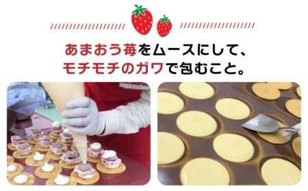あまおう苺入りどら焼き「どらきんぐエース」16個セット≪糸島市≫【株式会社エモテント】 どら焼き/あまおう/あまおう苺/イチゴ/伊都きんぐ [AVH002] どら焼き あまおう 苺 イチゴ いちご 和菓子 お菓子 スイーツ