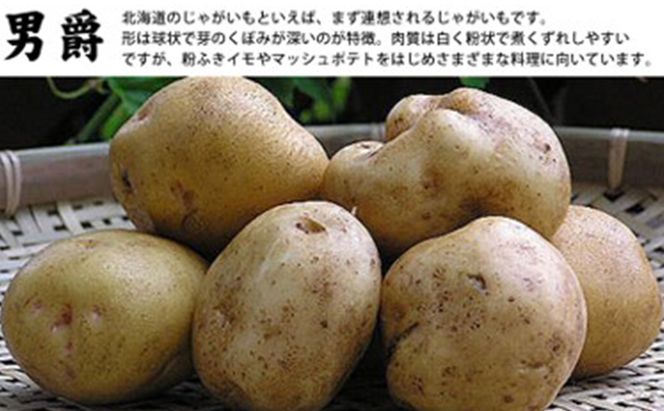 【2026年秋冬発送】北海道 富良野産 じゃがいも(男爵)＆玉ねぎ セット10kg 野菜 いも