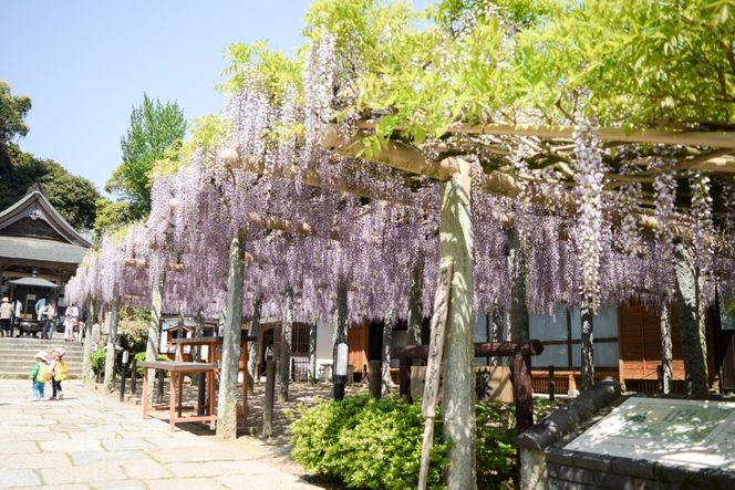 ハンバーグ 博多和牛 手ごねハンバーグ 150g 10個 セット [地域商社ふるさぽ 福岡県 筑紫野市 21761432] 肉 豚肉 にく 牛肉 国産 和牛 ミンチ 個包装 牛 冷凍