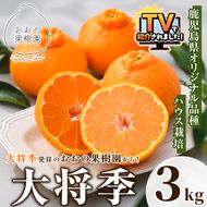 ＜先行予約受付中！2027年2月中旬以降順次発送予定＞数量限定！おおの果樹園の「大将季」(計3kg) 果物 フルーツ 果実 柑橘 ハウス栽培 無加温 みかん【おおの果樹園】akn087-03
