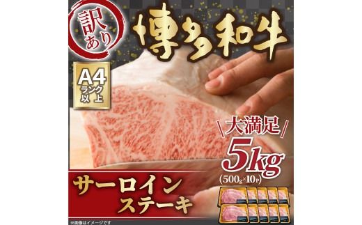 yɕ{sz󂠂I a T[CXe[LZbg 5kg (250g×2)×10pbN