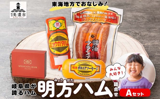 明方 ハム Aセット ボロニア ソーセージ フランクフルト JA ブランド 豚肉 お肉 国産 熟成 塩分 控えめ 豚腸 バーベキュー BBQ 加工品 お取り寄せ 贈答 ギフト 送料無料 めぐみの農業協同組合 岐阜県 美濃市