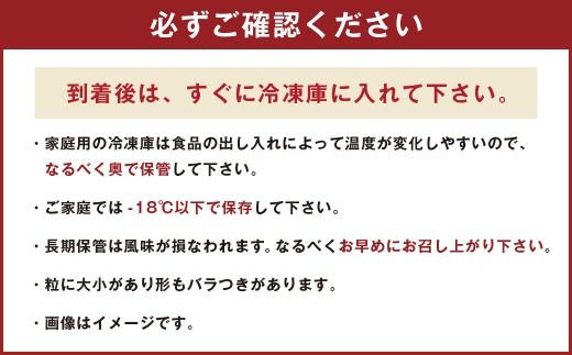 福岡県産 冷凍あまおう500g×3 合計1.5kg いちご 苺 フルーツ 国産【2026年4月上旬より順次発送予定】