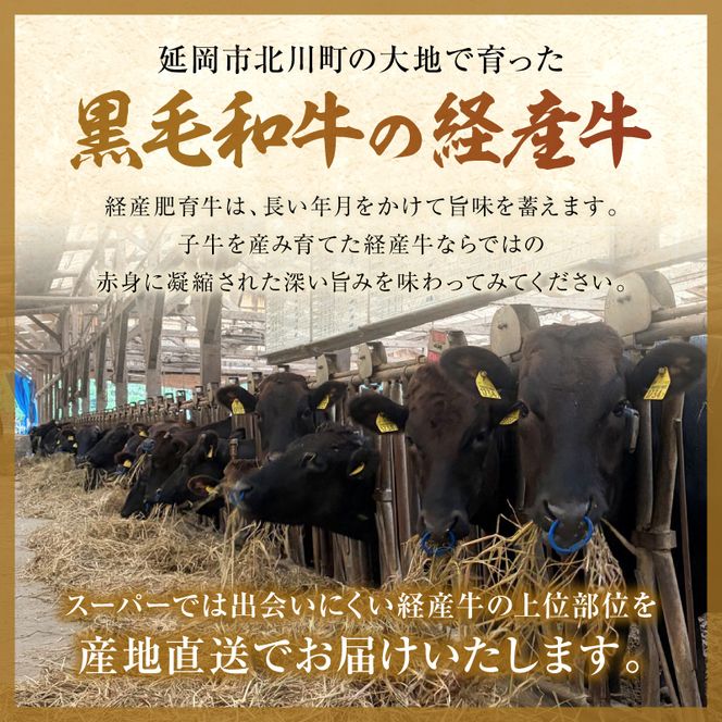 延岡産黒毛和牛(経産牛)ステーキ食べ比べセット N0221-YC428