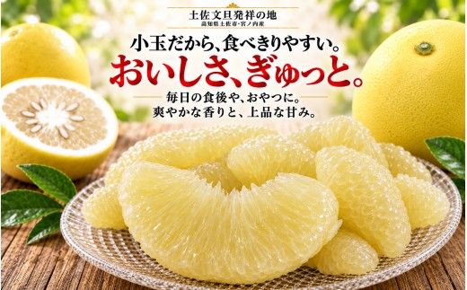 土佐文旦 小玉 7kg 家庭用 日本ギフト大賞受賞 文旦発祥の地 園主こだわり 食べ切りサイズ L～M 高知県土佐市産 高知県産 国産 7キロ ぶんたん ブンタン みかん 柑橘類 高級フルーツ 果物 産地直送 お取り寄せ ギフト 数量限定 季節限定 先行予約 やの一果彩[BQAC043]