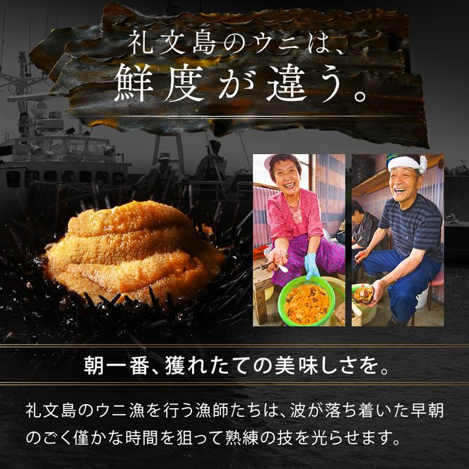 【日時指定不在日対応不可】北海道礼文島産 産地直送 鮮度抜群 塩水生エゾバフンウニ 240g（80g×3パック）