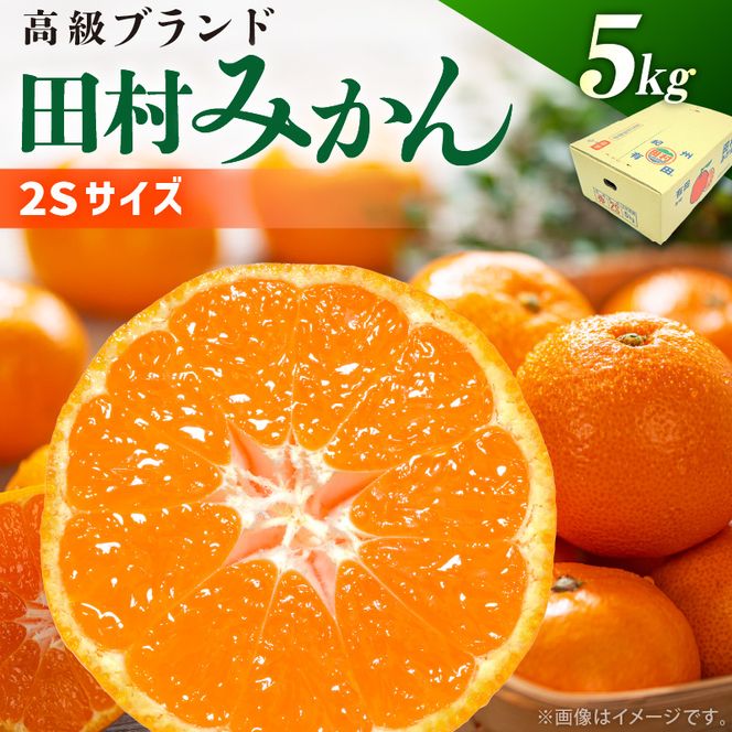 【2026年先行予約】田村みかん 秀品 約 5kg 2Sサイズ 高級ブランド 田村みかん 小玉 みかん 温州みかん フルーツ 果物 柑橘 果汁 ジューシー 赤秀品 青秀品 国産 食品 食べ物 期間限定 お取り寄せ 和歌山県 湯浅町 送料無料_DN6014