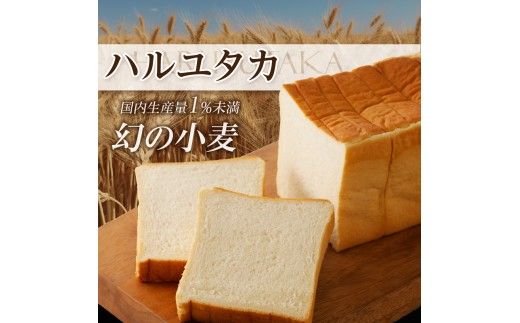 北海道滝川産「ハルユタカ(小麦)」使用!高級食パン【なご実(リッチ)】