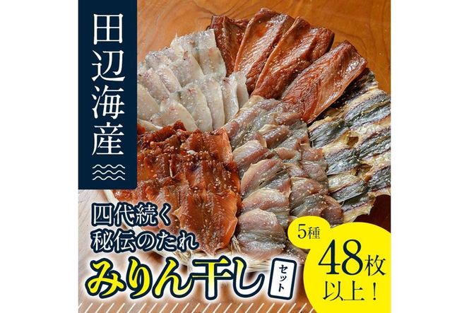 四代続く秘伝のたれ みりん干しセット (合計5種・48枚以上) 干物 ひもの 魚 さかな 鯵 あじ 鯖 さば かます 醤油 食べ比べ おかず 国産 詰め合わせ セット 大分県 佐伯市  【FT01】【田辺海産】