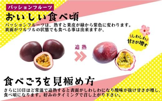 【2026年発送】産地認定！！恩納村産パッションフルーツ(約2kg)