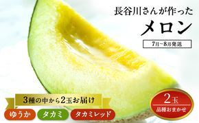 【先行予約2026年産】長谷川さんが作ったメロン2個（品種おまかせ） 7月～8月発送　青森県鰺ヶ沢町産 2玉 果物類 フルーツ メロン赤肉 