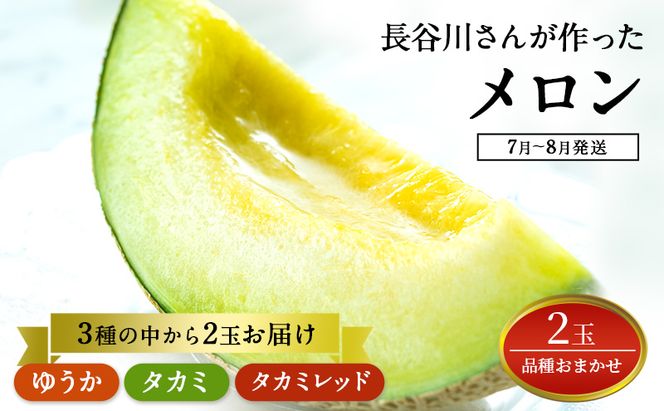 【先行予約2026年産】長谷川さんが作ったメロン2個（品種おまかせ） 7月～8月発送　青森県鰺ヶ沢町産 2玉 果物類 フルーツ メロン赤肉 