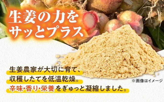 生姜パウダー 2袋  調味料 しょうが 愛西市 / しょうがやさん 【配達不可：離島】[AEAO008]