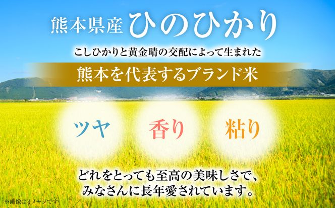 【令和7年産】 熊本県産 くまモンひのひかり 5kg (5kg×1袋) 米 お米 精米 白米 ごはん ご飯 熊本
