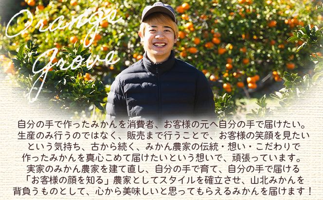 みかん 【2026年10月下旬発送】露地みかん(2S～Mサイズ) 10kg 贈答用 （傷み補償分 ＋約100g） - 果物 くだもの フルーツ 果実 柑橘 かんきつ 蜜柑 みかん om-0006