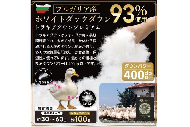 洗える 2枚合わせ 羽毛布団 【 セミダブル 】 (グレー) 抗菌防臭 ブルガリア産 ホワイトダック 93％ [川村羽毛 山梨県 韮崎市 20743603] 布団 羽毛 肌掛け 合掛け オールシーズン 夏用 冬用 コインランドリー対応