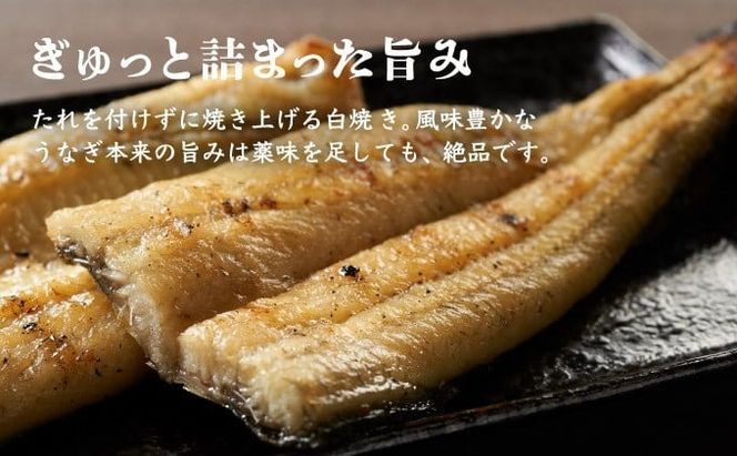 徳さんこだわりの手焼き白焼きうなぎ4尾 | 国産 高知県産 鰻 人気 おすすめ 冷凍 惣菜 しらやき うなぎ白焼き 高知県 室戸市 [yj037]	