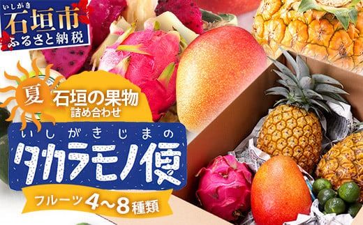 《2025年7月中旬～9月上旬順次発送予定》石垣島の夏「果物」詰め合わせ～夏のタカラモノ果物便～【 産地直送 沖縄 石垣 石垣島 くだもの トロピカルフルーツ 果物 南国 フルーツ 詰め合わせ フルーツ便 】SH-5