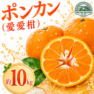 【先行予約】  ポンカン 約10kg 愛愛柑 15000円 ぽんかん みかん 蜜柑 果物 くだもの 果実 柑橘 ミカン mikan フルーツ ゼリー ジュース 甘い ジューシー デザート ブランド 特産品 国産 産直 産地直送 ビタミン 美容 健康 糖度 愛媛県 愛南町