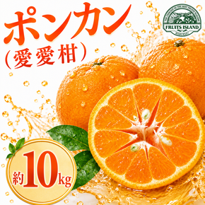 【先行予約】  ポンカン 約10kg 愛愛柑 15000円 ぽんかん みかん 蜜柑 果物 くだもの 果実 柑橘 ミカン mikan フルーツ ゼリー ジュース 甘い ジューシー デザート ブランド 特産品 国産 産直 産地直送 ビタミン 美容 健康 糖度 愛媛県 愛南町