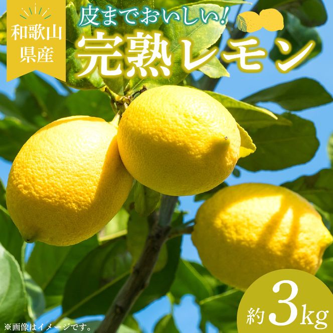 EA6011n_和歌山県産 完熟 レモン 約3kg 皮まで使用可能（栽培期間中農薬不使用）