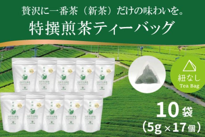 お茶 ティーバッグ 特撰 みやざき煎茶 10袋 セット [谷岩茶舗 宮崎県 日向市 452061644] ティーパック 茶 茶葉 緑茶 新茶 お茶の葉
