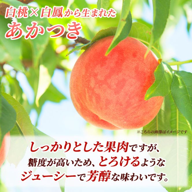 【2026年8月上旬～発送予定】 先行予約 「浅間水蜜桃プレミアム」 もも あかつき 秀品 約2kg 5～9玉 贈答品 ふるさと納税 果物 桃 フルーツ モモ 果肉  長野県産 小諸市
