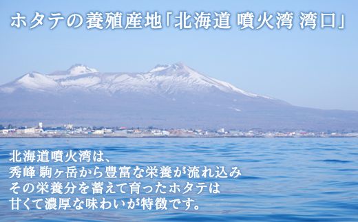 【先行予約2027年3月下旬発送開始】北海道産 ホタテ ガンガン焼き カンカン焼き 1.5kg以上 北海道産 ホタテ 加熱用 説明書付き カンカン蒸し 浜蒸し ホタテ 帆立 ほたて 魚介 海鮮 貝 アウトドア キャンプ バーベキュー BBQ 事業者支援 漁師応援