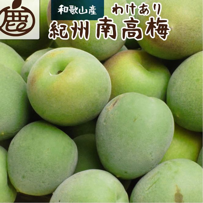 家庭用 紀州南高梅(青梅)3kg+250g（傷み補償分）【梅干し・梅ジュース】【訳あり】［IKE112］ 303446_BB90043