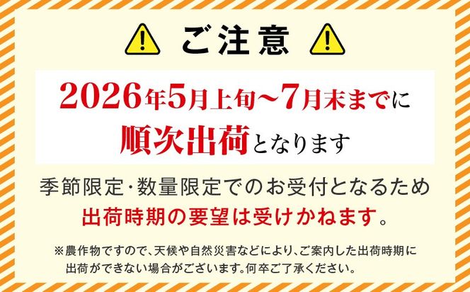 宮崎県産 完熟マンゴー 2玉 2L