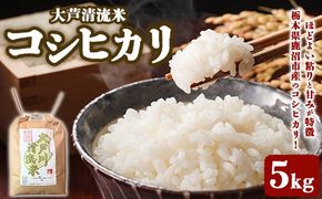 大芦清流米 コシヒカリ 5kg ｜ 米 お米 おこめ 精米 5キロ ご飯 ごはん 栃木県 鹿沼市 ※離島への配送不可