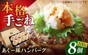 沖縄県産 あぐー豚 ハンバーグセット 800g (100g×8個) 豚 ハンバーグ 冷凍 ギフト お取り寄せ 沖縄市 / お肉屋本店[BCAZ001]