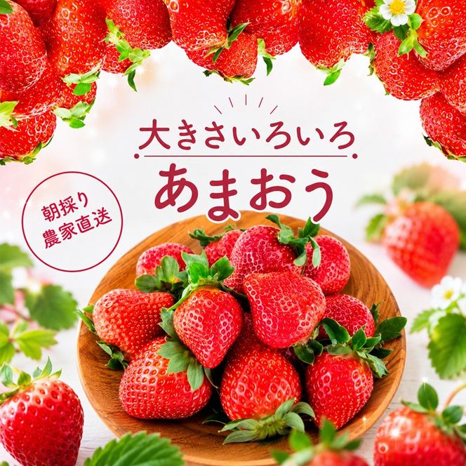 訳あり いちご 2027年2月中旬より発送 あまおう サイズ色々 4パック 約1kg 配送不可 離島 果物 フルーツ 福岡県産あまおう 