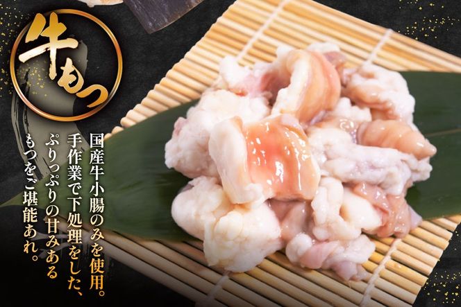 【老舗人気店】博多本格もつ鍋 4～5人前 [博多もつ鍋 太閤 福岡県 筑紫野市 21760394] モツ鍋 もつ鍋 博多もつ鍋 モツ ホルモン もつ 鍋 鍋セット 冷凍