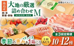 【全3回定期便】糸島産 肉 米 野菜 果物 厳選詰め合わせ MINORI BOX Mサイズ 糸島市 / emma.Inc / 米 肉 野菜 果物 詰め合わせ[AOP012]