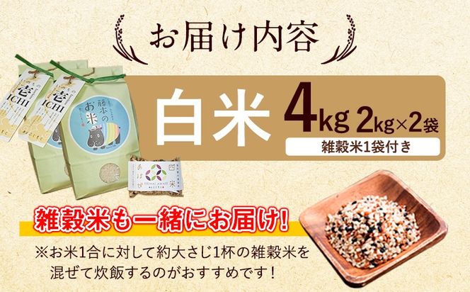 令和7年産 特別栽培米 いのちの壱(白米) 4kg 2kg×2 雑穀米付き《60日以内に出荷予定(土日祝除く)》 熊本県 南阿蘇村 熊本県産 虹色のかば 白米 雑穀米---sms_inci6_60d_r7_14500_h4kg---