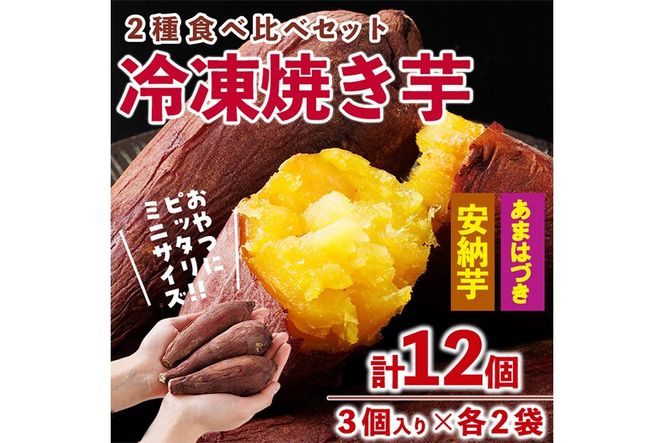＜先行予約受付中！2026年10月から順次発送予定＞おやつ芋 あまはづき 安納芋 冷凍 焼き芋 (計12個・3個入り×各2袋) 焼芋 やきいも さつまいも さつま芋 レンジ あまはづき 安納芋 小分け おやつ 【YO-27】【株式会社陽】