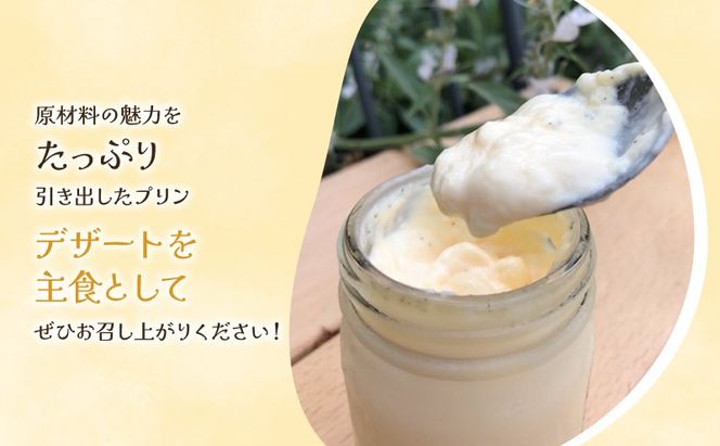 Toroとろプリン 150g×10p セット プリン スイーツ デザート 岡山 瀬戸内市 [№5735-2074]