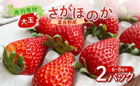 【2026年先行予約】 富良野産 いちご さがほのか 大玉 6～8粒×2パック　［ フルーツ 果物 新鮮 贈り物 ギフト フルーツ 生いちご イチゴ 苺 大粒 甘い 道産 北海道 富良野 ］