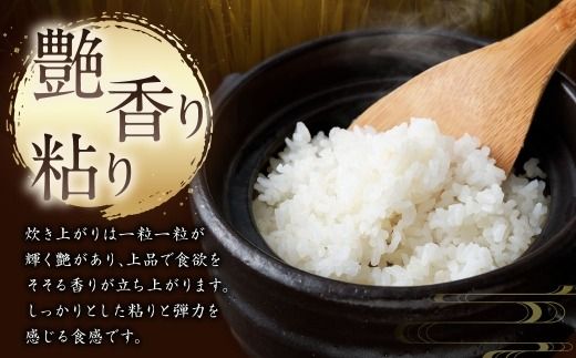 【新米受付・令和8年産米】新潟県村上市岩船産 コシヒカリ6kg（2kg×3袋）1099004N
