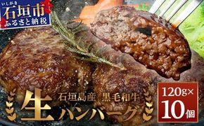 石垣島産 黒毛和牛 生ハンバーグ 120g x 10個 【沖縄 石垣 石垣島産 黒毛和牛 和牛 ハンバーグ】 UN-2