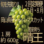 [HS]【定期便全2回】ぶどう先行予約7月・8月発送温室シャインマスカット晴王1房約600g ブドウ 葡萄  岡山県産 国産 フルーツ 果物 ギフト デザート 食後 酸味が少ない 産地直送