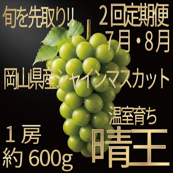 [HS]【定期便全2回】ぶどう先行予約7月・8月発送温室シャインマスカット晴王1房約600g ブドウ 葡萄  岡山県産 国産 フルーツ 果物 ギフト デザート 食後 酸味が少ない 産地直送