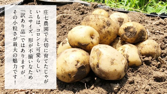 y錧΂݂炢szy󂠂z~j WKC ( L^AJ )  3kg 5kg 10kg cڂō낱WKC VႪ Ⴊ WKC k  e ƒp    Yn VN 5000~ 6000~ 8000~ [BK48-NT]